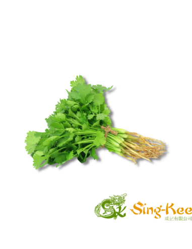 Fresh Coriander - 1 Bunch