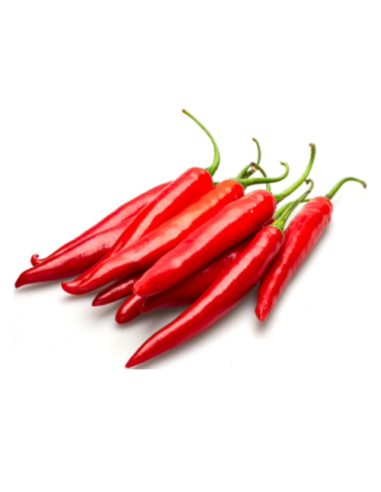 Long Red Chilli 500g