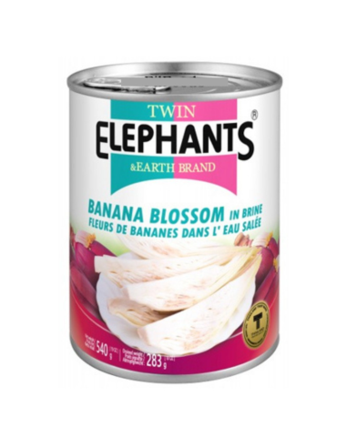 Twin Elephants Banana Blossom 540g