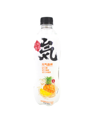 GKF Sparkling Water-Pineapple & Sea Salt 480ml