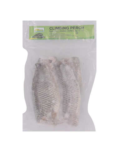 Kim Son Climbing Perch 500g