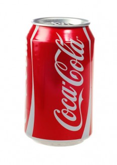 Coke 330mL x 24 2