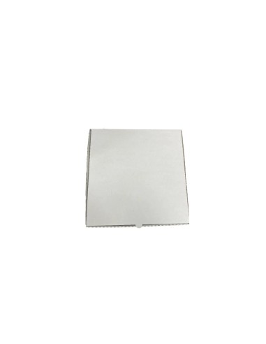 10 inch White Cardboard Biodegradable Corrugated Pizza Boxes Qty 100