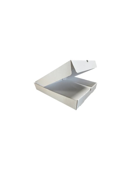 10 inch White Cardboard Biodegradable Corrugated Pizza Boxes Qty 100