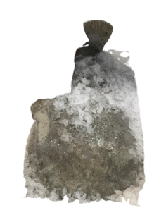 Fresh Turbot - per KG