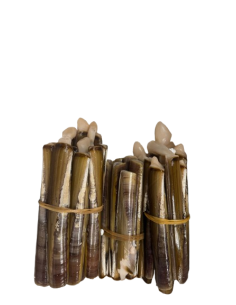 Razor Clam - Per KG