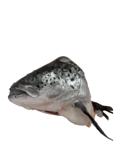 Salmon Head - Per Pcs