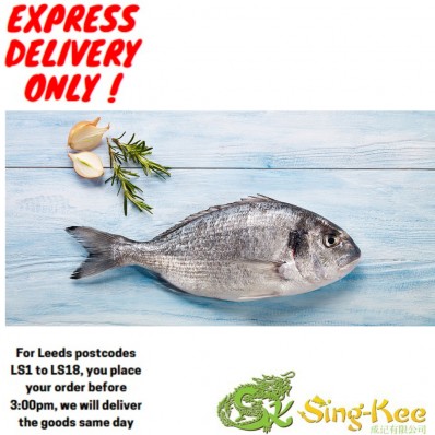 Frozen Seabream large size(3 pcs)