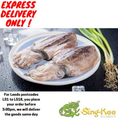 Frozen Cuttlefish(Large)1.5-1.7kg